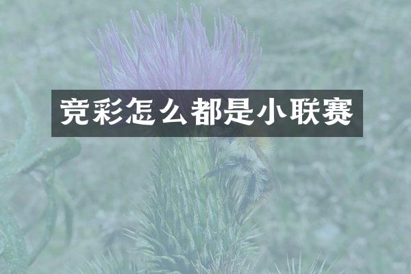 竞彩怎么都是小联赛