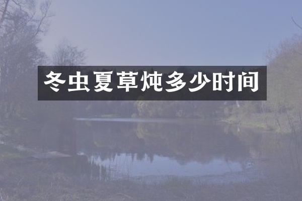 冬虫夏草炖多少时间