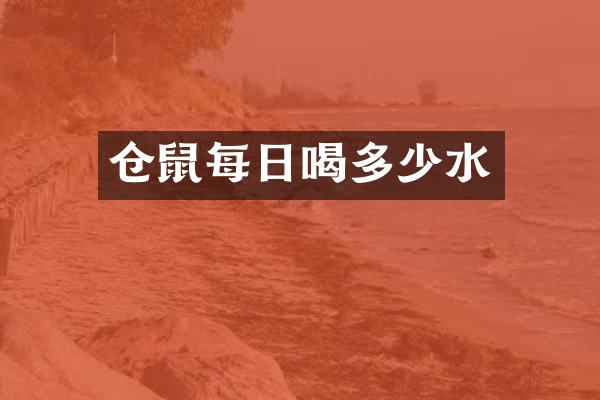 仓鼠每日喝多少水