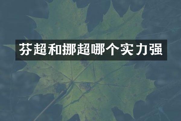 芬超和挪超哪个实力强