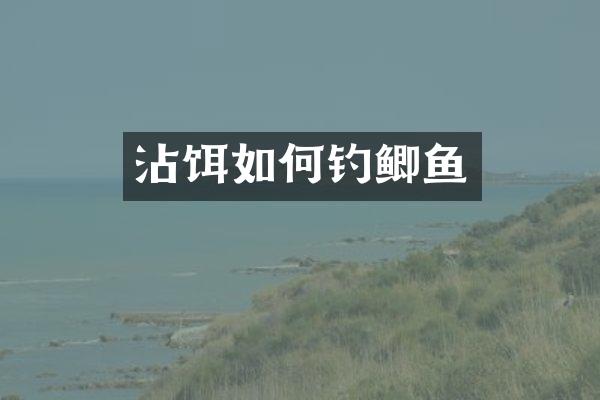 沾饵如何钓鲫鱼