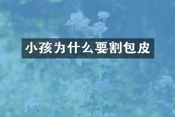 小孩为什么要割包皮