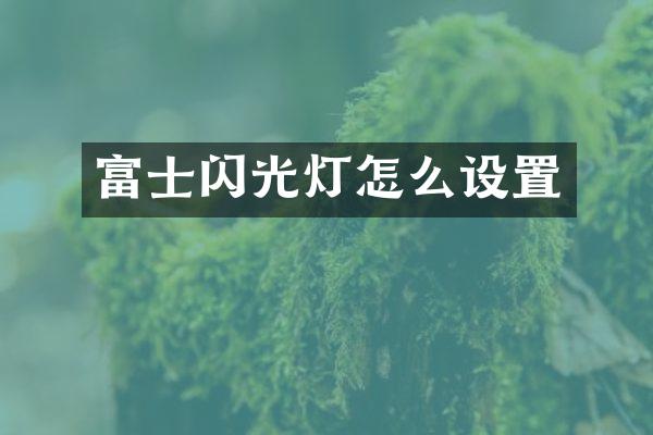 富士闪光灯怎么设置