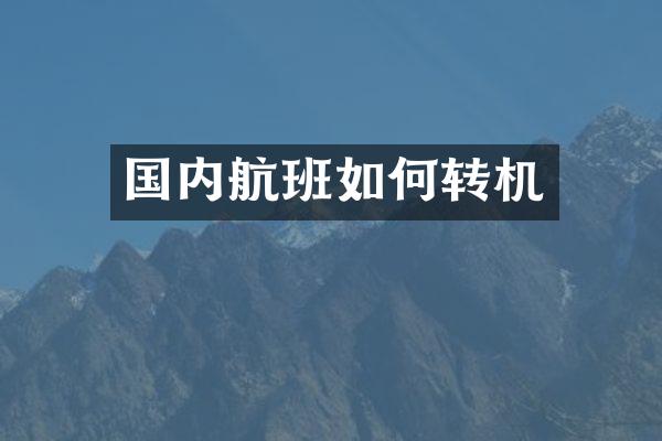 国内航班如何转机