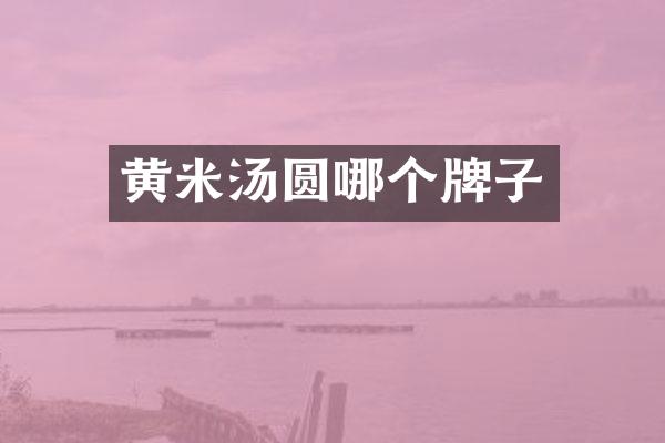 黄米汤圆哪个牌子