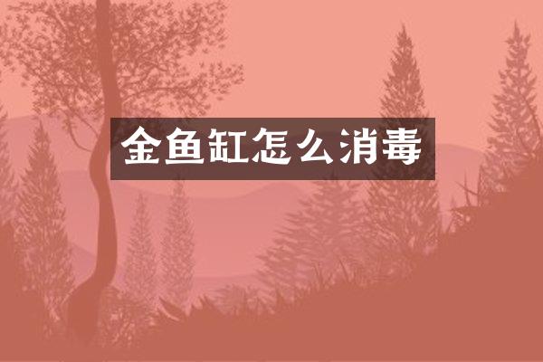 金鱼缸怎么消毒