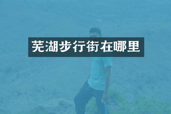 芜湖步行街在哪里