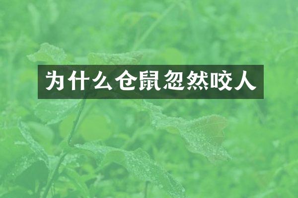 为什么仓鼠忽然咬人