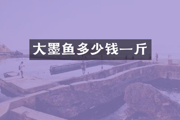 大墨鱼多少钱一斤