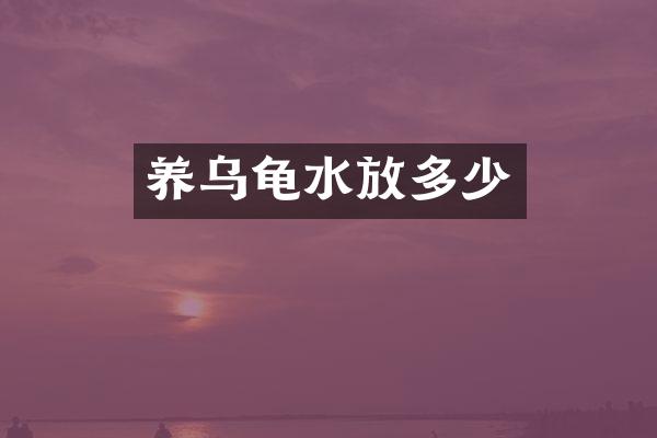 养乌龟水放多少