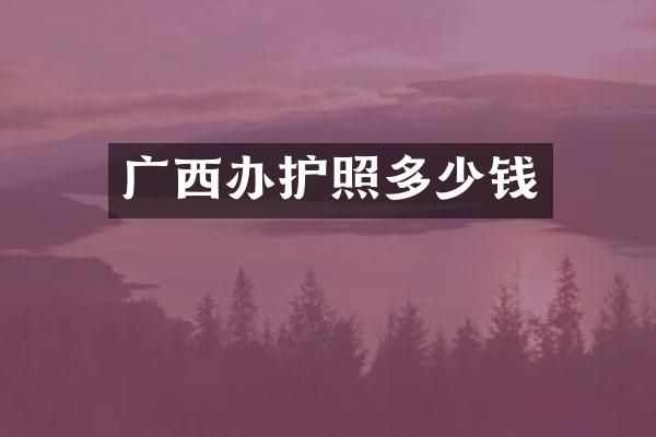 广西办护照多少钱