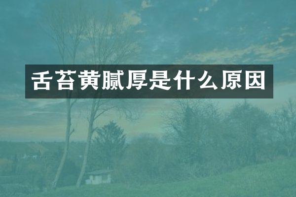 舌苔黄腻厚是什么原因