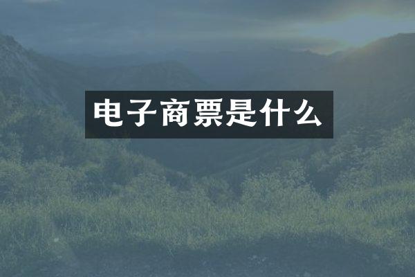 电子商票是什么