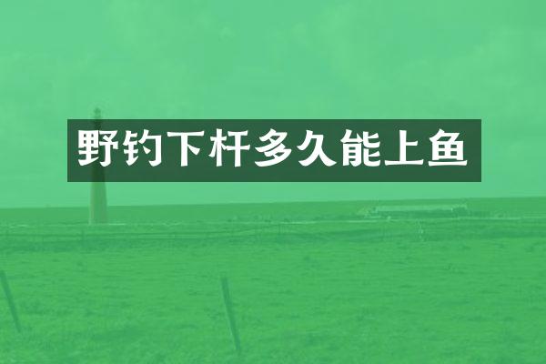 野钓下杆多久能上鱼