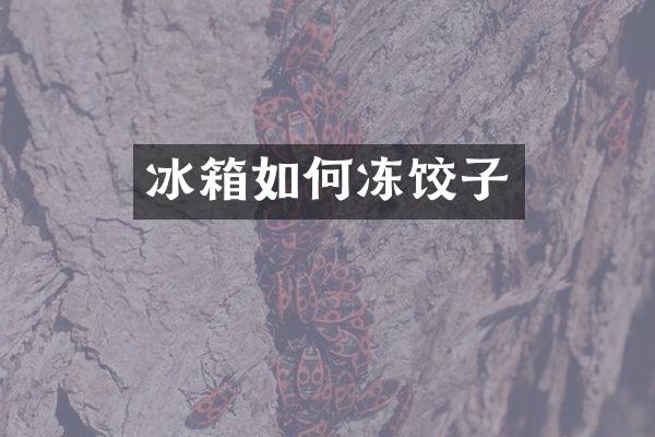 冰箱如何冻饺子