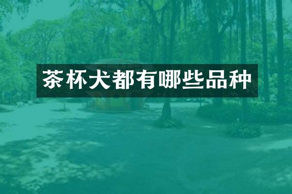 茶杯犬都有哪些品种