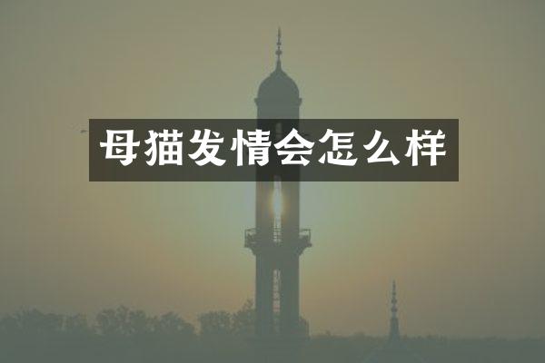 母猫发情会怎么样