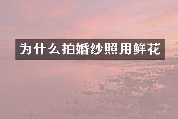 为什么拍婚纱照用鲜花