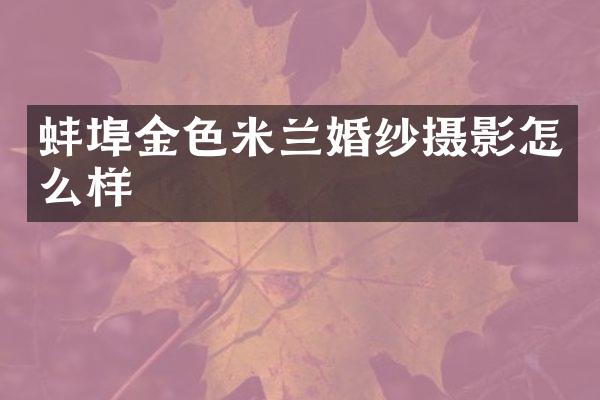 蚌埠金色米兰婚纱摄影怎么样