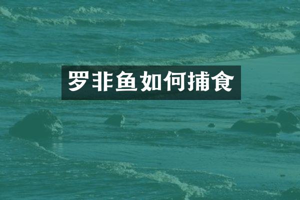 罗非鱼如何捕食