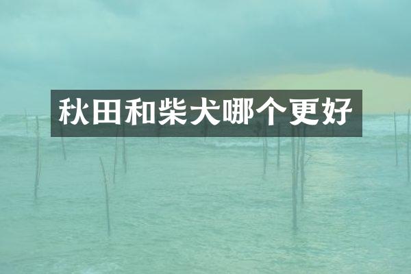 秋田和柴犬哪个更好