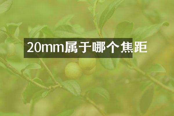 20mm属于哪个焦距