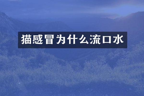 猫感冒为什么流口水