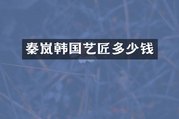 秦岚韩国艺匠多少钱