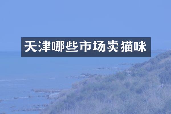 天津哪些市场卖猫咪