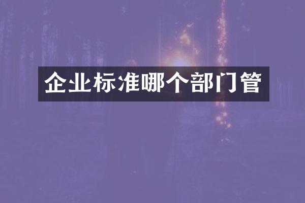 企业标准哪个部门管