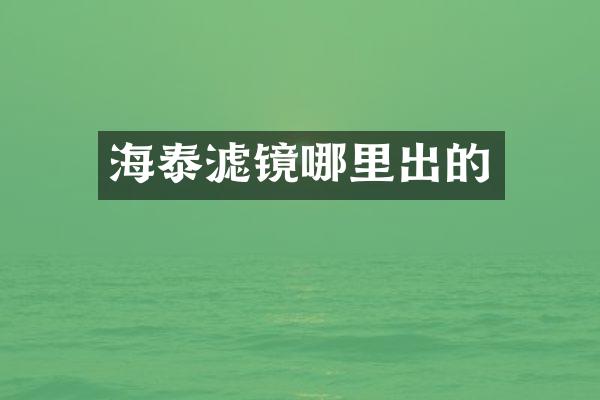 海泰滤镜哪里出的