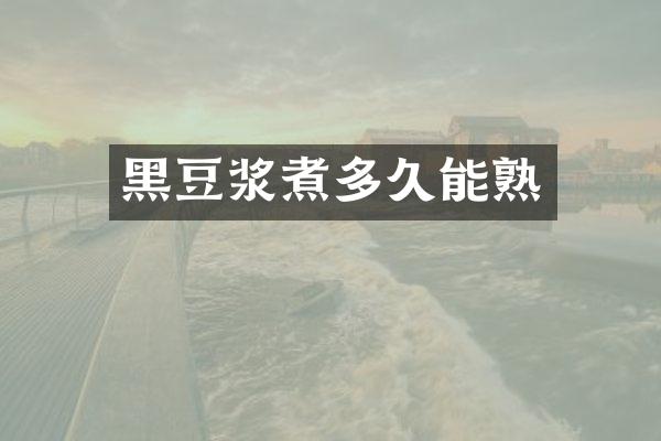 黑豆浆煮多久能熟