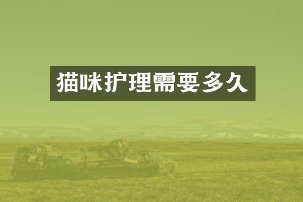 猫咪护理需要多久