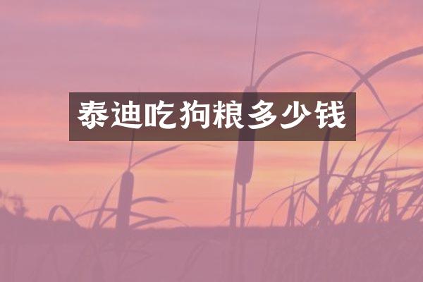 泰迪吃狗粮多少钱