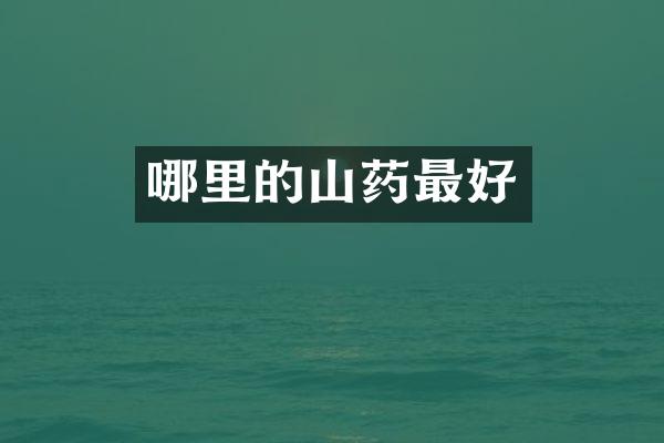 哪里的山药最好