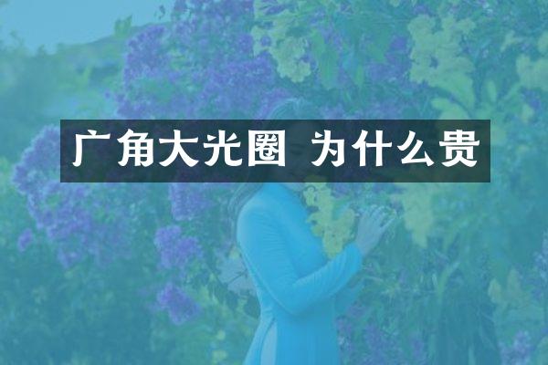 广角大光圈 为什么贵
