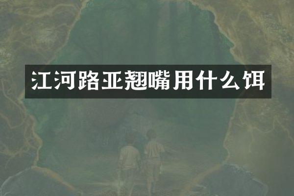 江河路亚翘嘴用什么饵