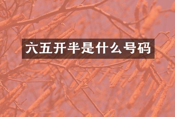 六五开半是什么号码
