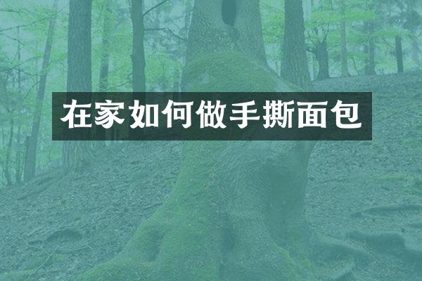 在家如何做手撕面包