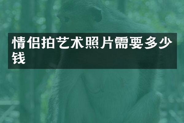 情侣拍艺术照片需要多少钱
