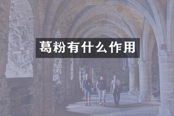 葛粉有什么作用