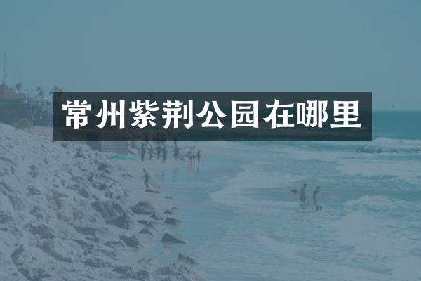 常州紫荆公园在哪里