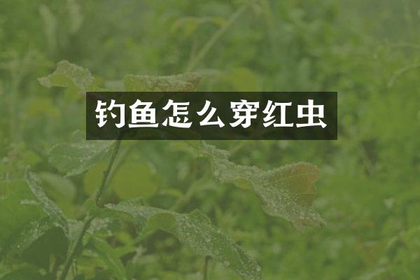 钓鱼怎么穿红虫