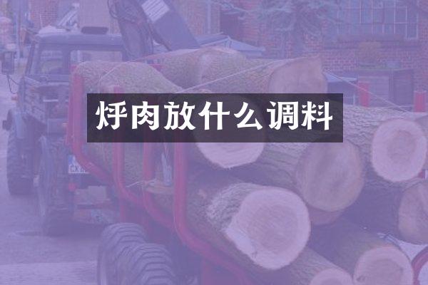 烀肉放什么调料