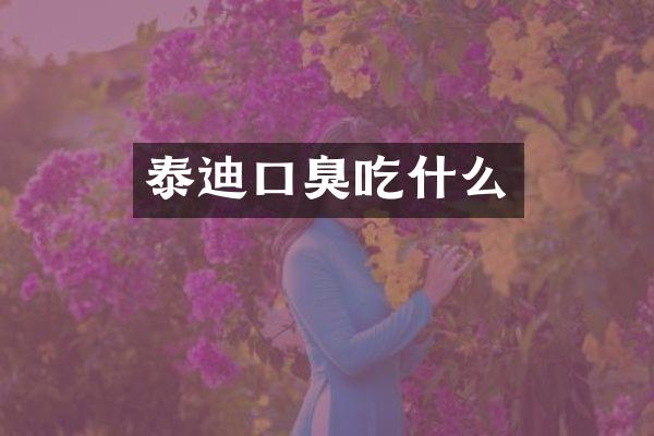 泰迪口臭吃什么