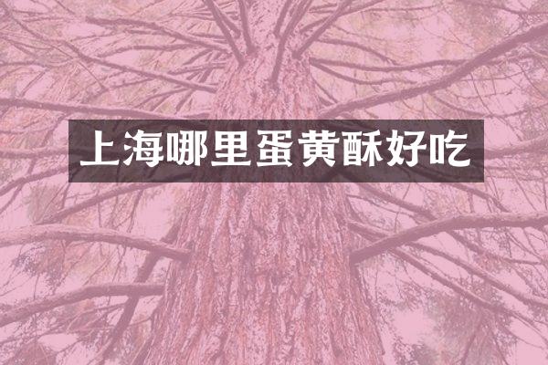 上海哪里蛋黄酥好吃