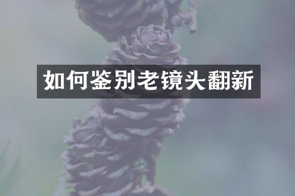 如何鉴别老镜头翻新