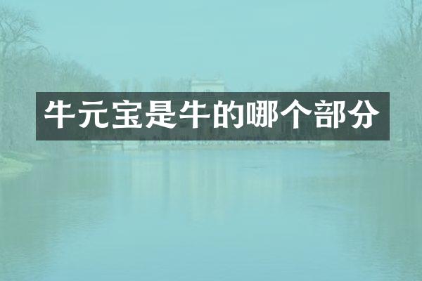 牛元宝是牛的哪个部分