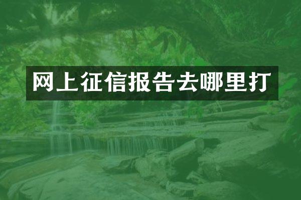 网上征信报告去哪里打