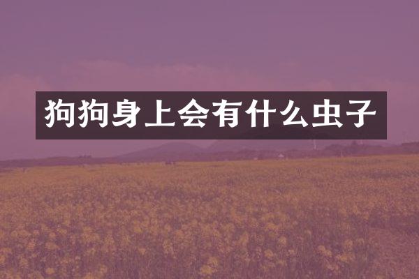狗狗身上会有什么虫子